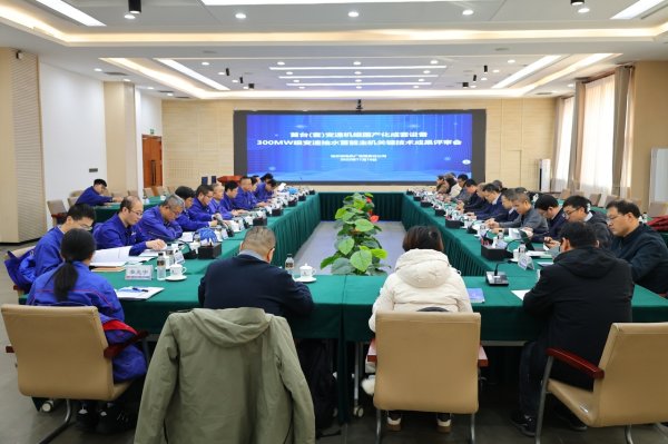 大通速配 发电技术大升级，国产“智能发电机”实现新突破